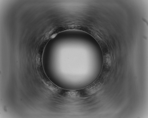X0000097640615200802291406