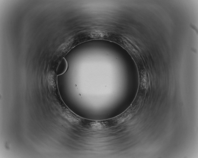 X0000097640616200802291406