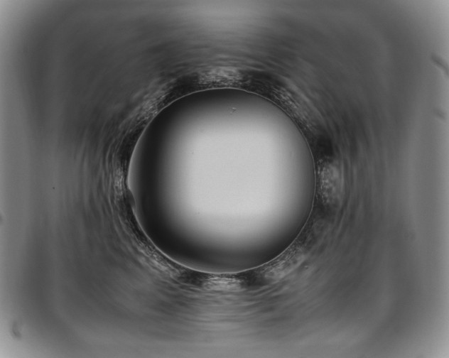 X0000097640617200802291406