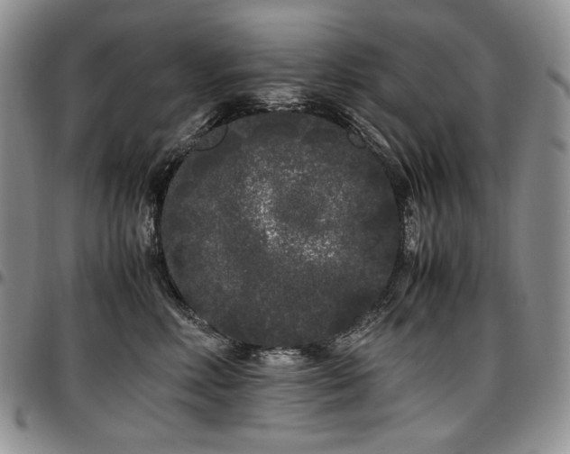 X0000097640618200802291406