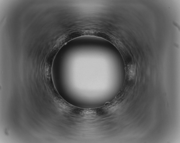 X0000097640619200802291406