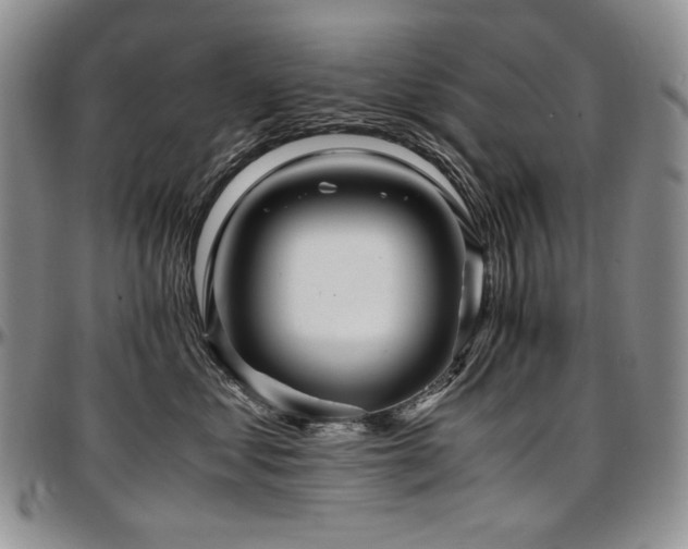 X0000097640621200802291406