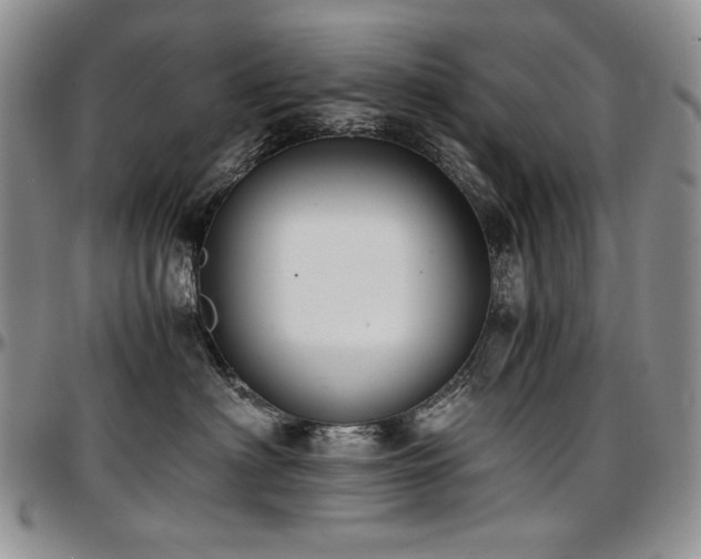 X0000097640622200802291406
