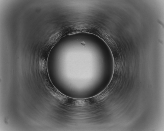 X0000097640623200802291406