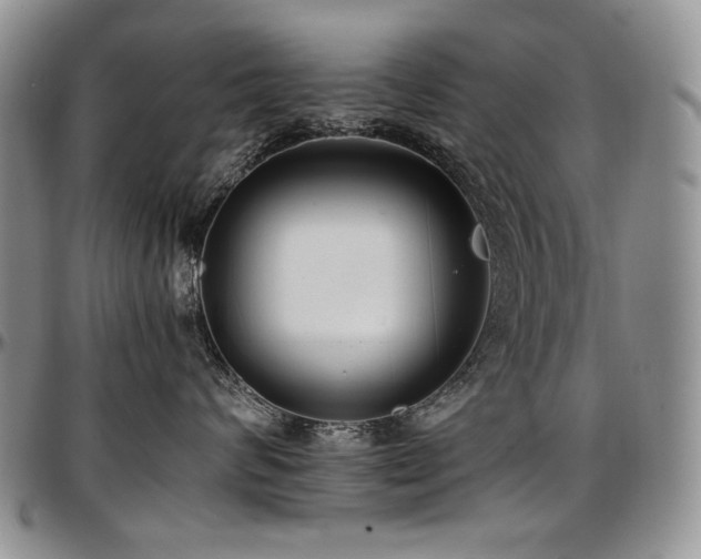X0000097640624200802291406