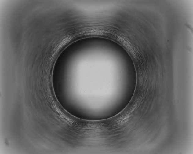 X0000097640625200802291405