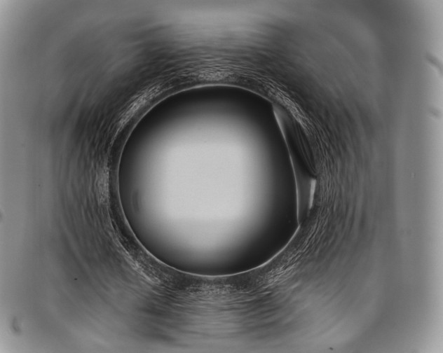 X0000097640626200802291405
