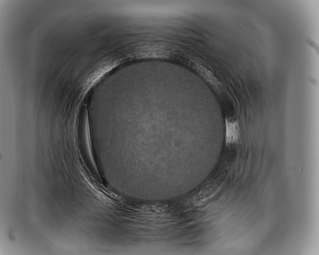 X0000097640627200802291405