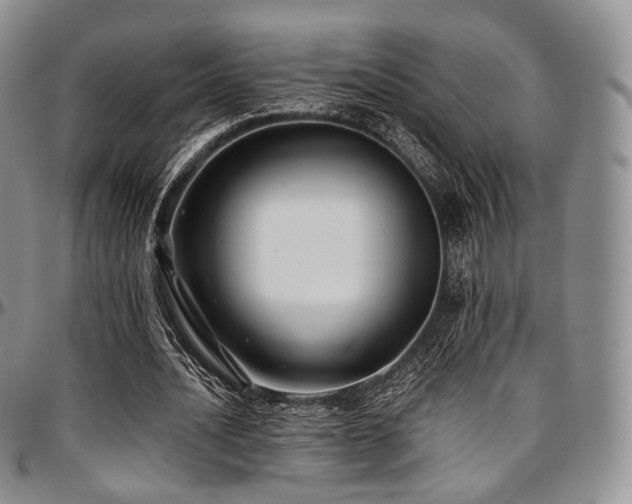 X0000097640628200802291405