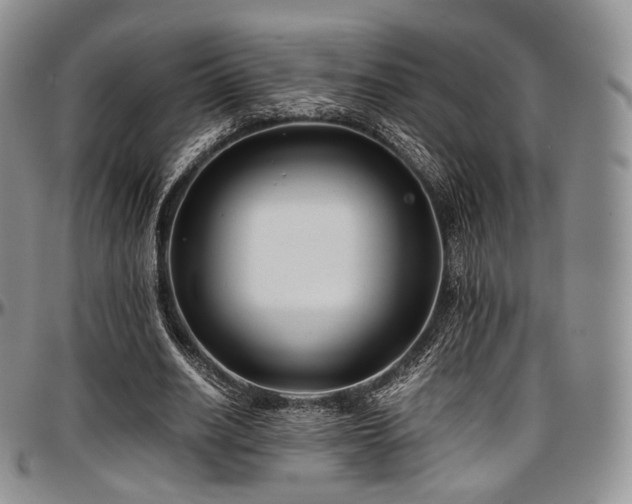 X0000097640630200802291405
