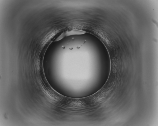 X0000097640631200802291405