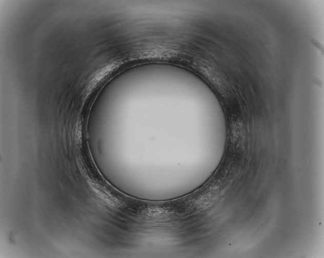 X0000097640632200802291405