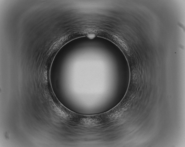 X0000097640633200802291405