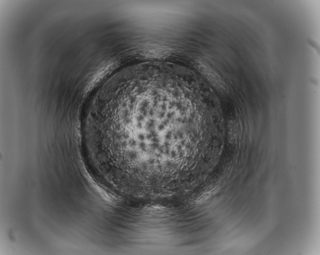 X0000097640634200802291405