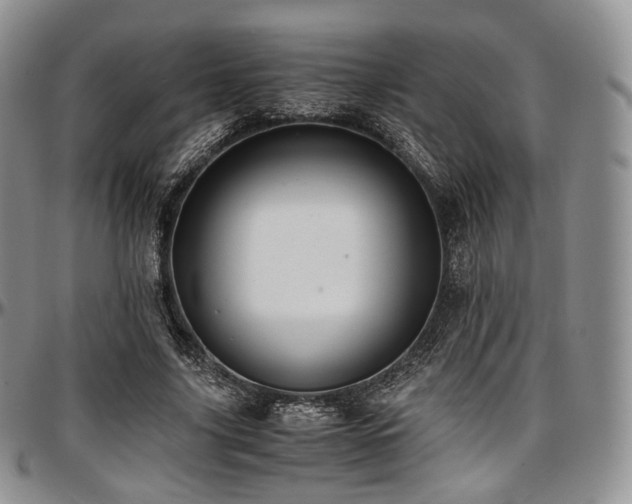 X0000097640635200802291405