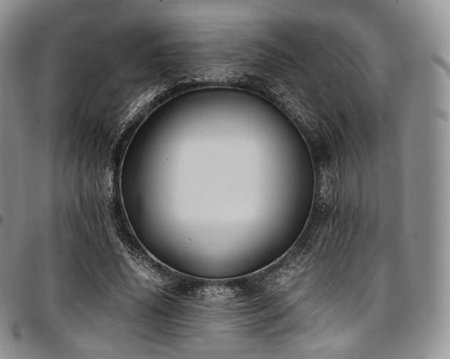 X0000097640636200802291405