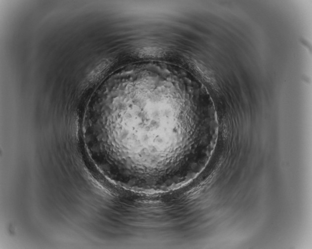 X0000097640637200802291405
