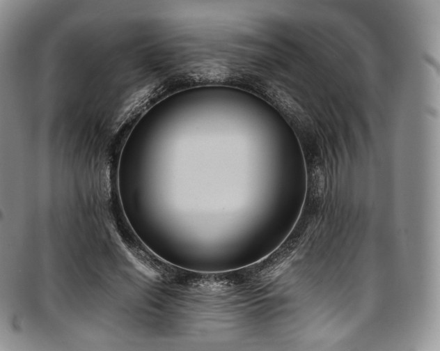 X0000097640638200802291405