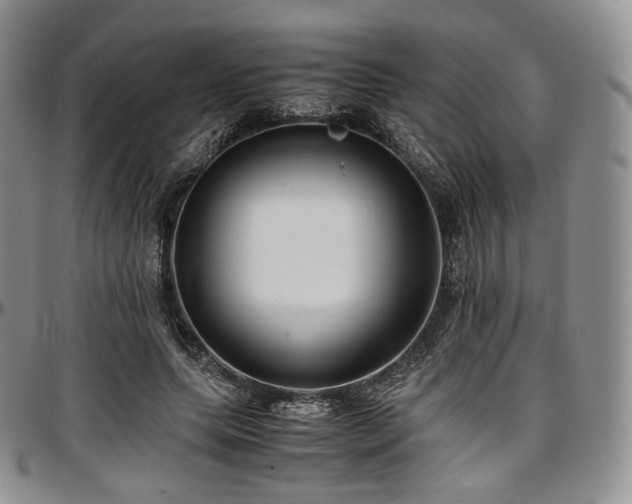 X0000097640639200802291405
