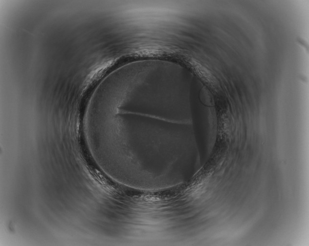 X0000097640640200802291405