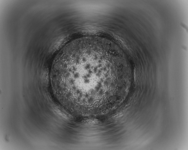 X0000097640642200802291405