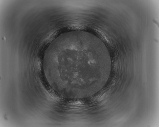 X0000097640643200802291406