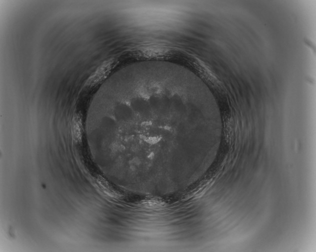 X0000097640644200802291406