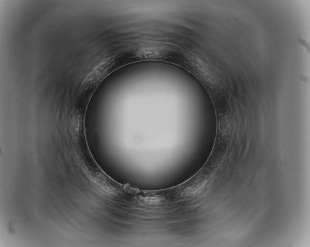 X0000097640645200802291406