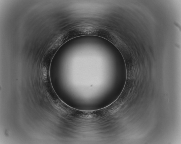 X0000097640646200802291406