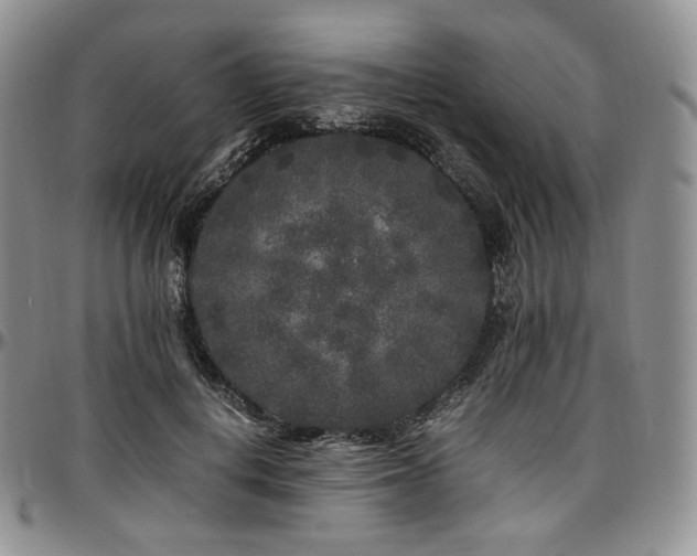 X0000097640648200802291406