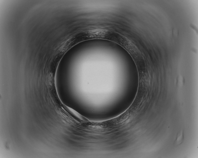 X0000097640649200802291406