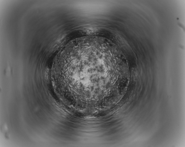 X0000097640650200802291406