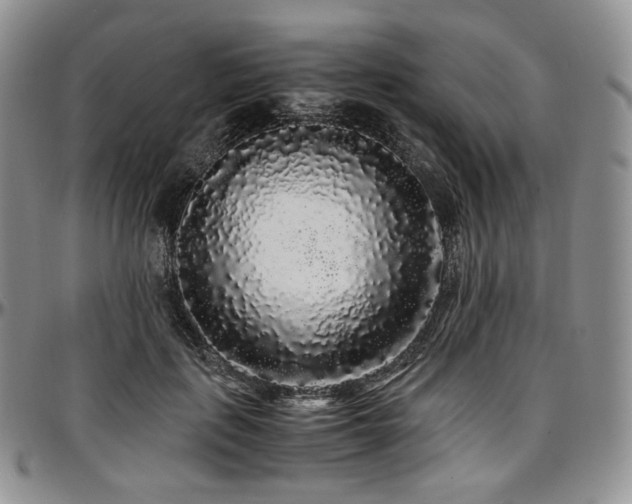 X0000097640651200802291406