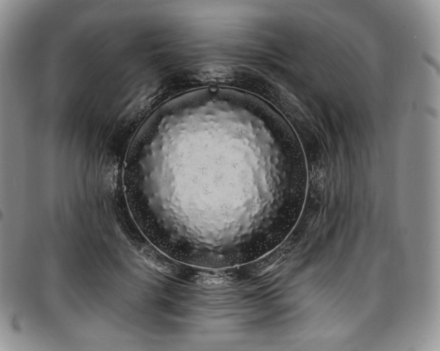 X0000097640652200802291406