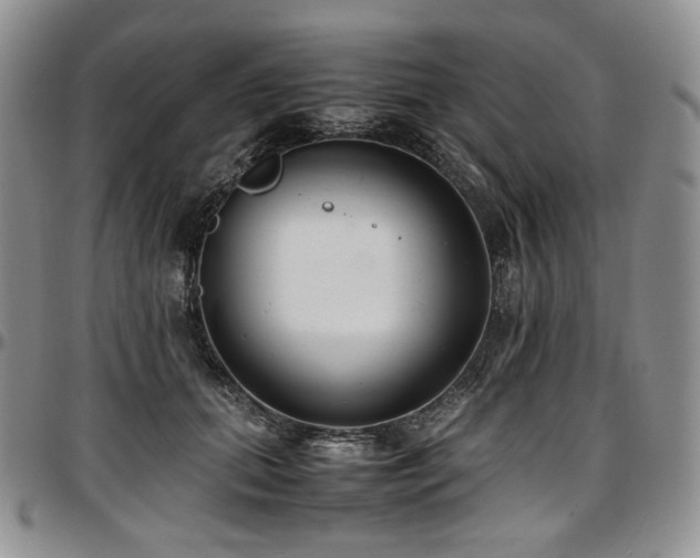 X0000097640655200802291406