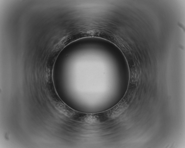 X0000097640656200802291406