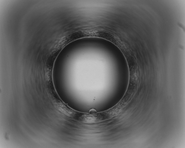 X0000097640658200802291406