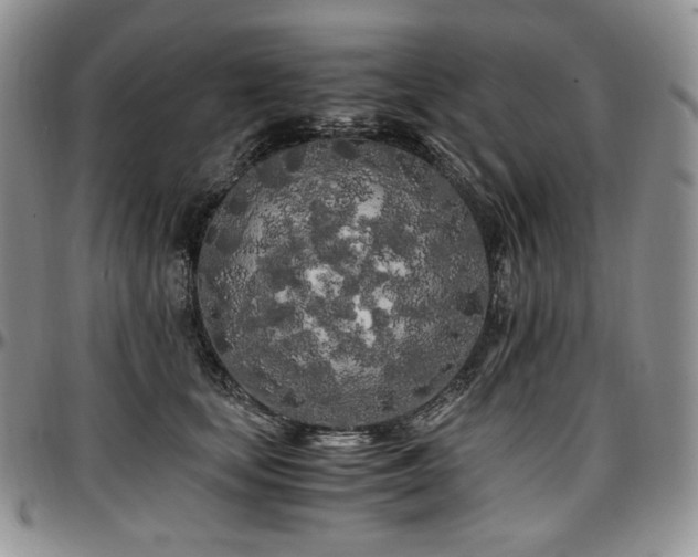 X0000097640659200802291406