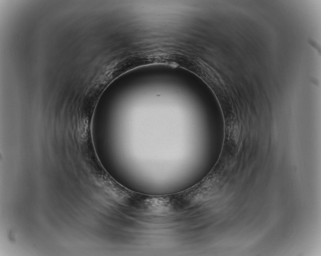 X0000097640660200802291406