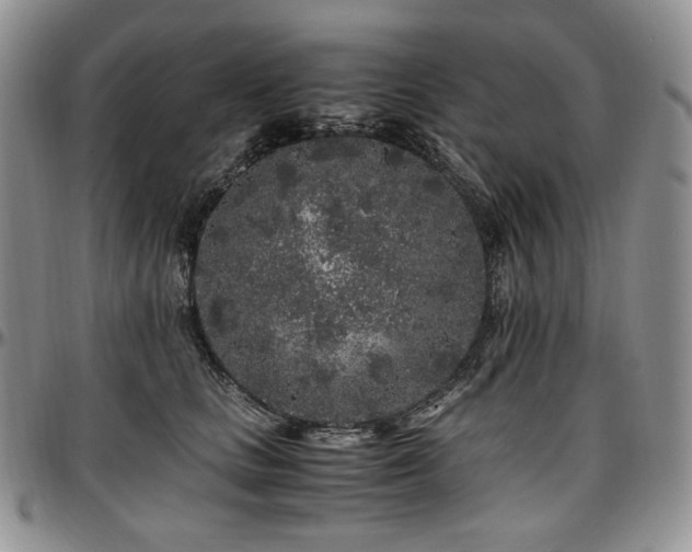 X0000097640661200802291406