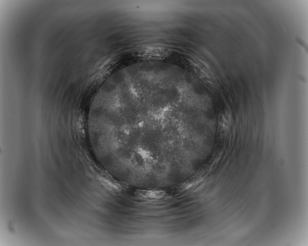 X0000097640663200802291406