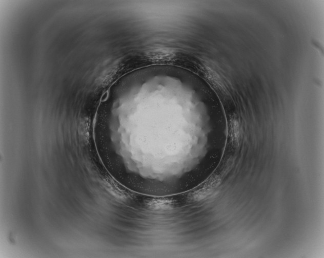 X0000097640664200802291406