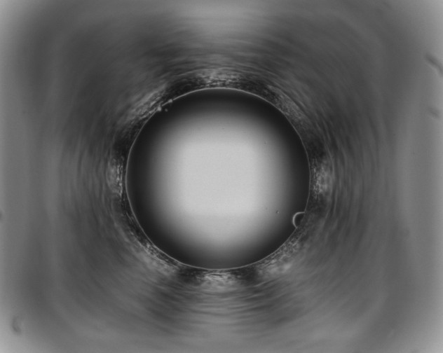 X0000097640666200802291406