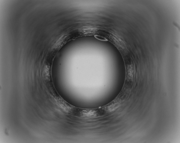 X0000097640667200802291406