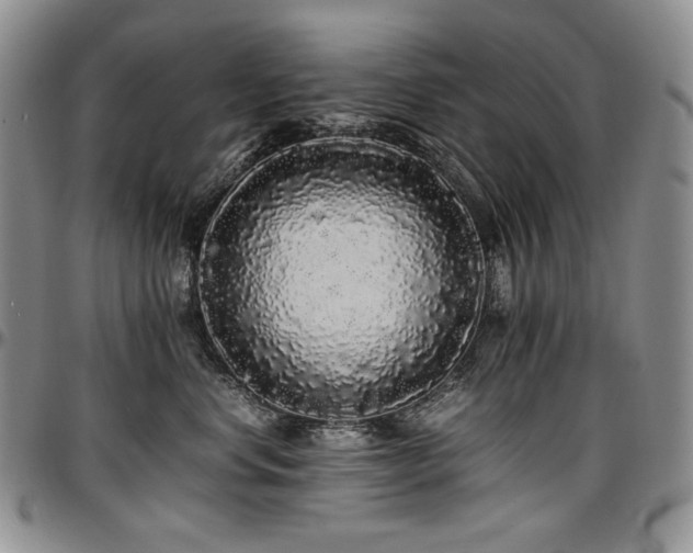 X0000097640668200802291406