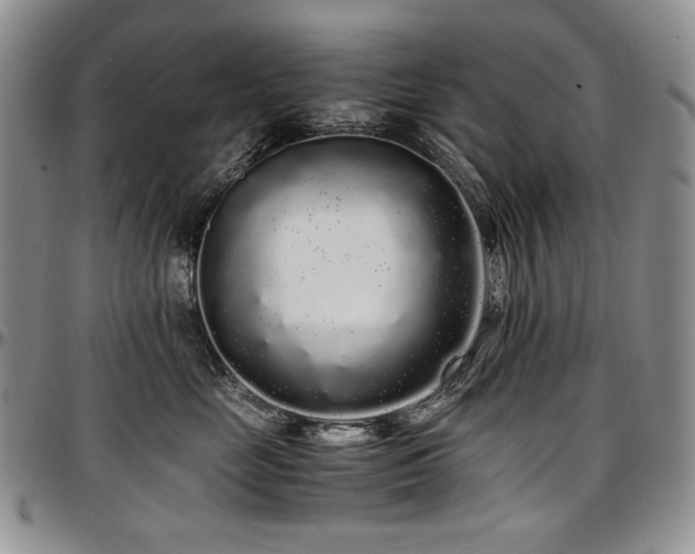 X0000097640669200802291406