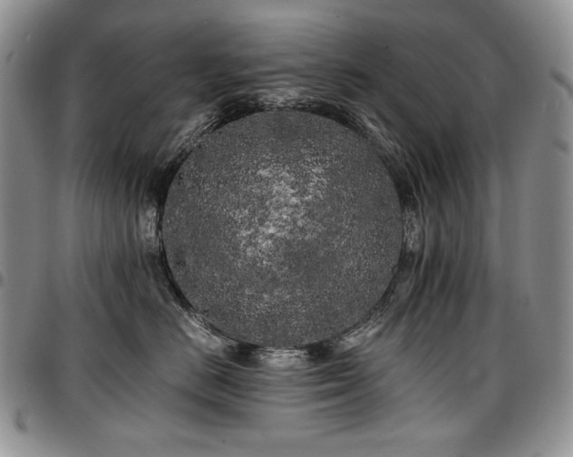 X0000097640670200802291406
