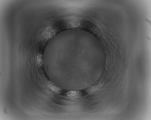 X0000097640672200802291406