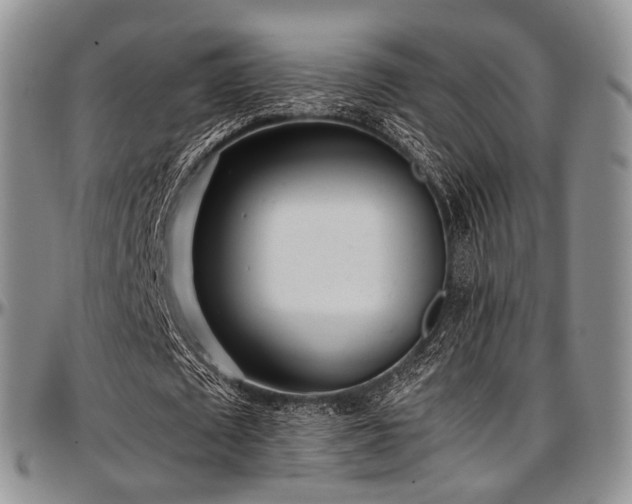 X0000097640673200802291405
