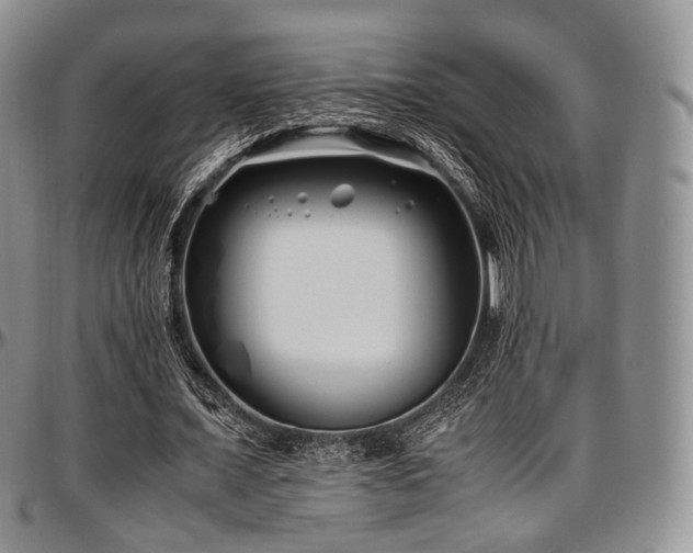 X0000097640675200802291405